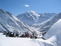 vallonbrun