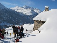 vallonbrun